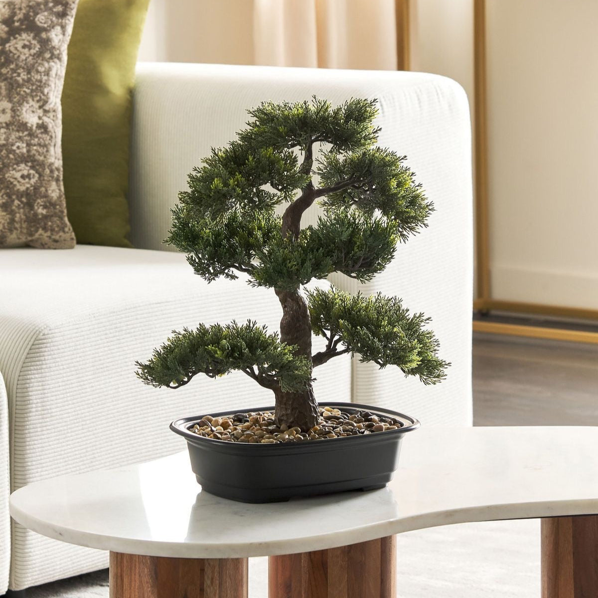 Bonsai Class for Beginners - 9th of November Sunday 10am to 11:30am