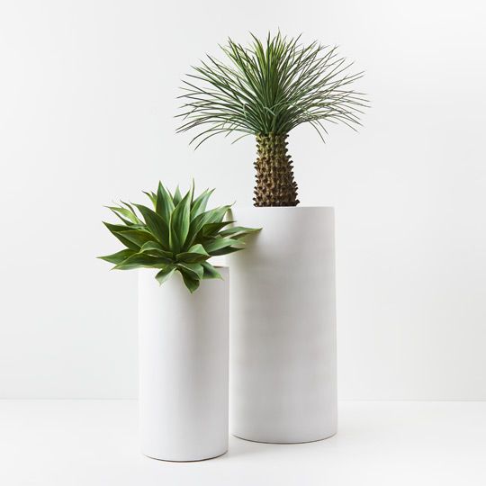 Cenzo Cylinder Tall Pots - Set of 2