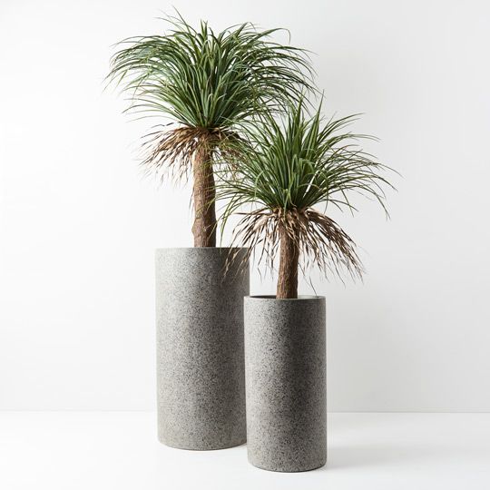 Cenzo Cylinder Tall Pots - Set of 2