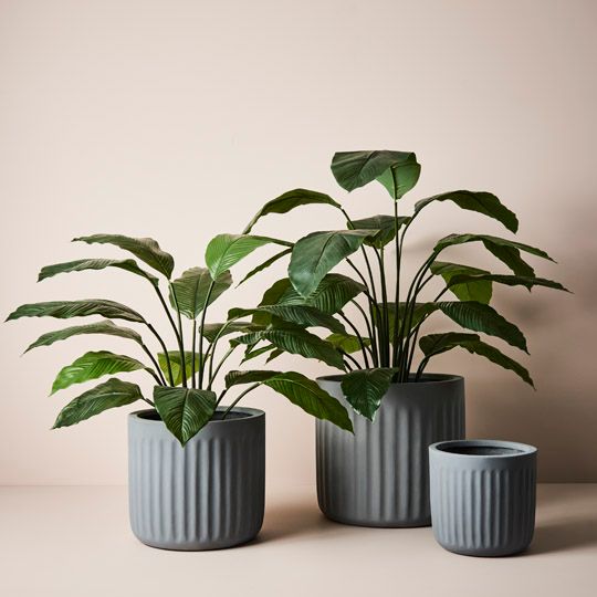 Round Pleat Pot - Set of 3