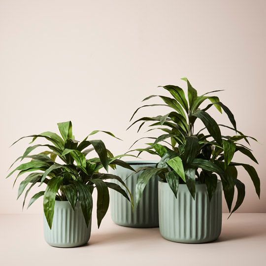 Round Pleat Pot - Set of 3