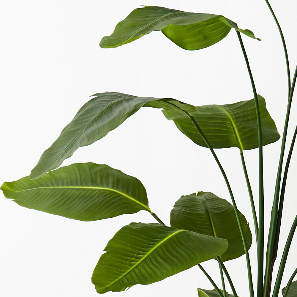 Large 'Real Touch' Artificial Bird of Paradise Plant