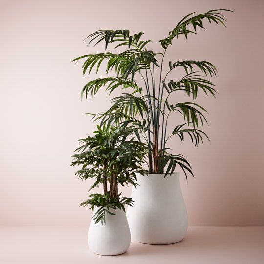 Giga Pots - Set of 2