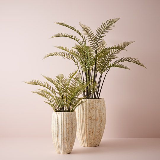 Neptuno Pots - Set of 2