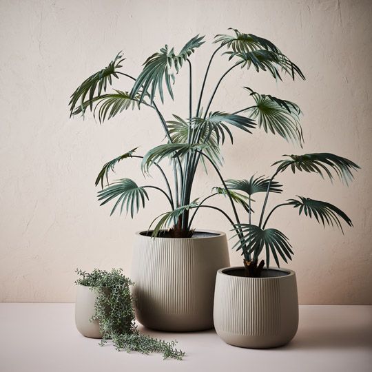 Dune Pedro Pots - Set of 3