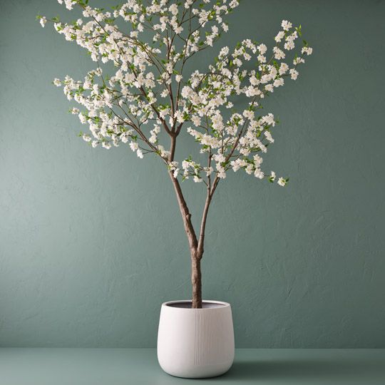 Dune Pedro Pots - Set of 3