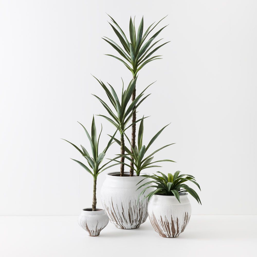 Piedada Pot - Large