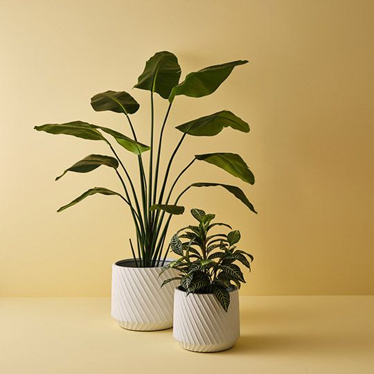 Ando Pots - Set of 2