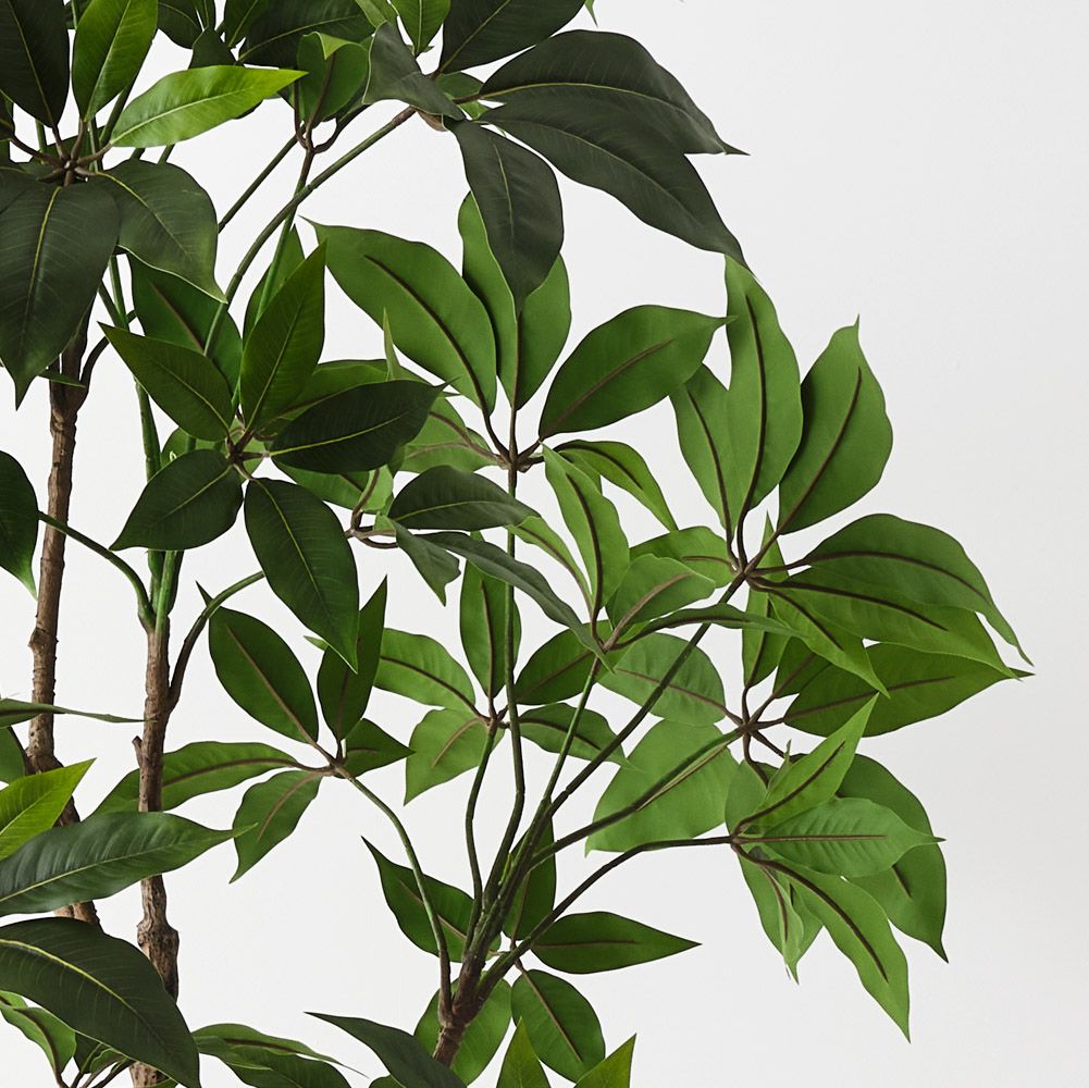 Artificial Pachira Aquatica 'Money Tree'