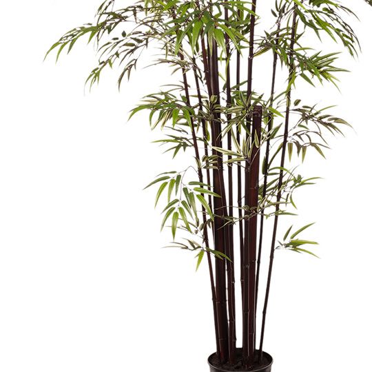 Artificial Bamboo Tree