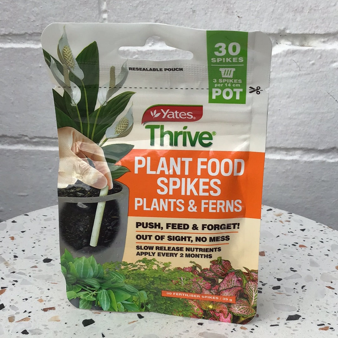 Plant food spikes