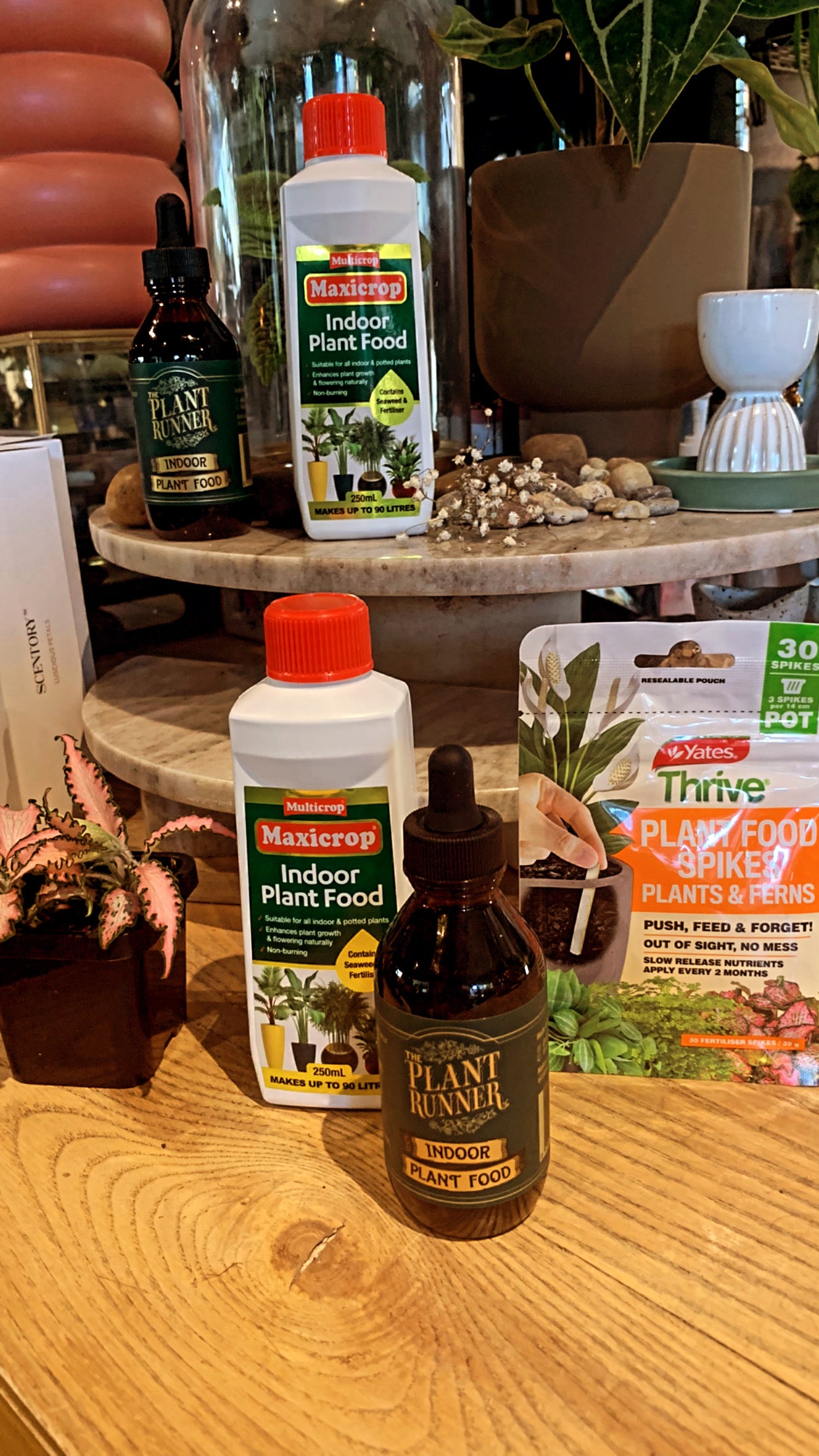Thrive Plant food spikes