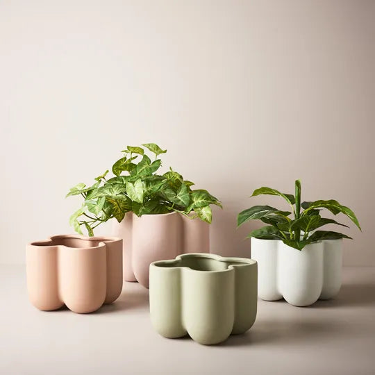 Nirassa planter / vase