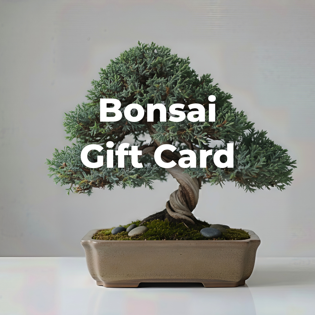 Bonsai Workshop Gift Card