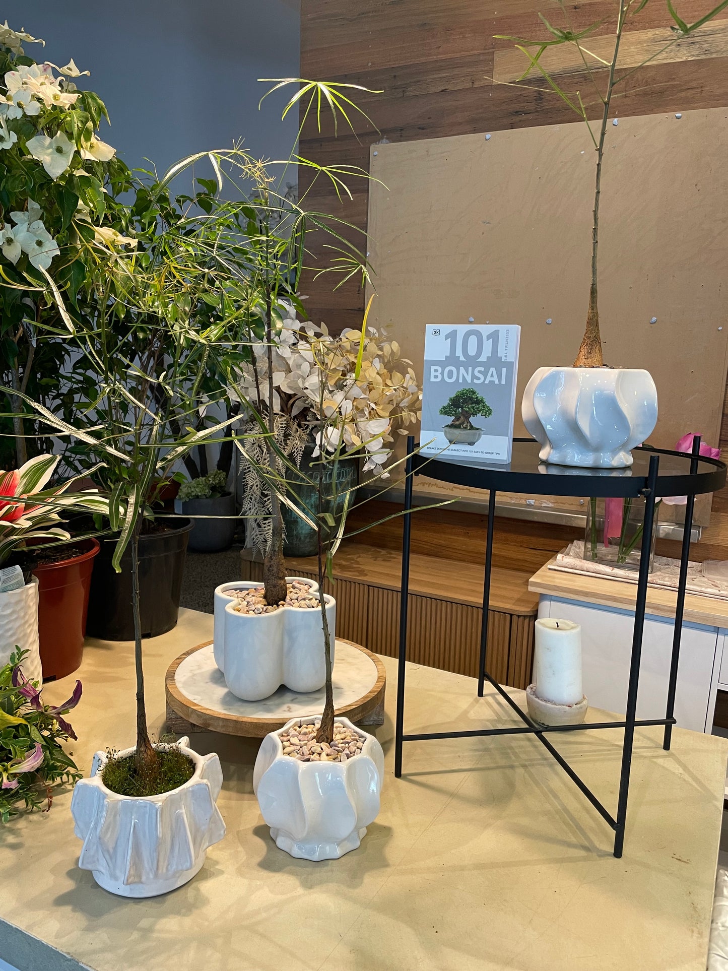 QLD Bottle Tree Making Workshop - Sunday 14th Dec 3-4pm