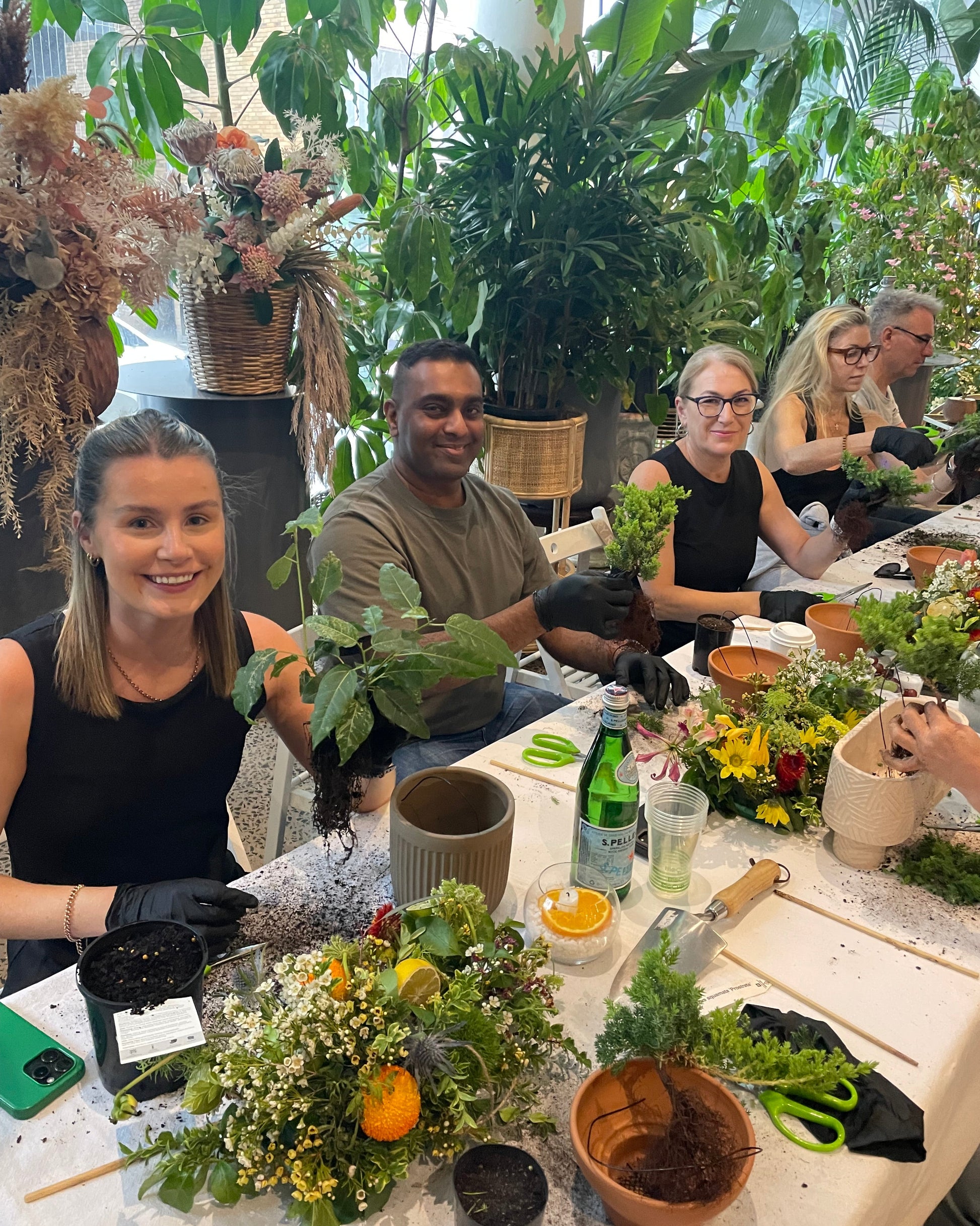 Bonsai Workshop Botanicah - Classes in Melbourne