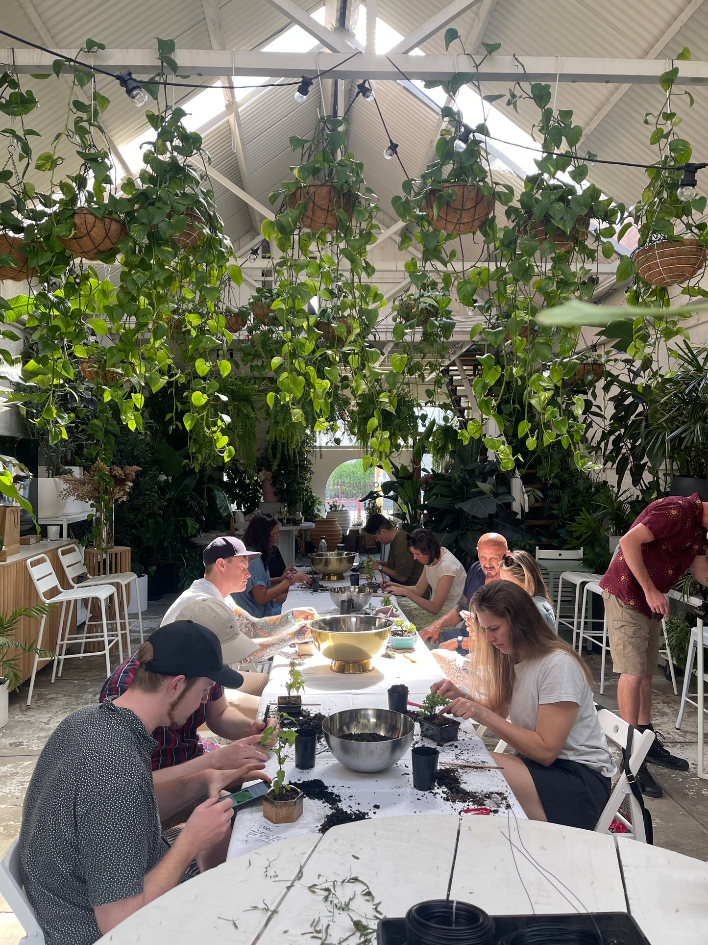 Bonsai Workshop Botanicah - Classes in Melbourne