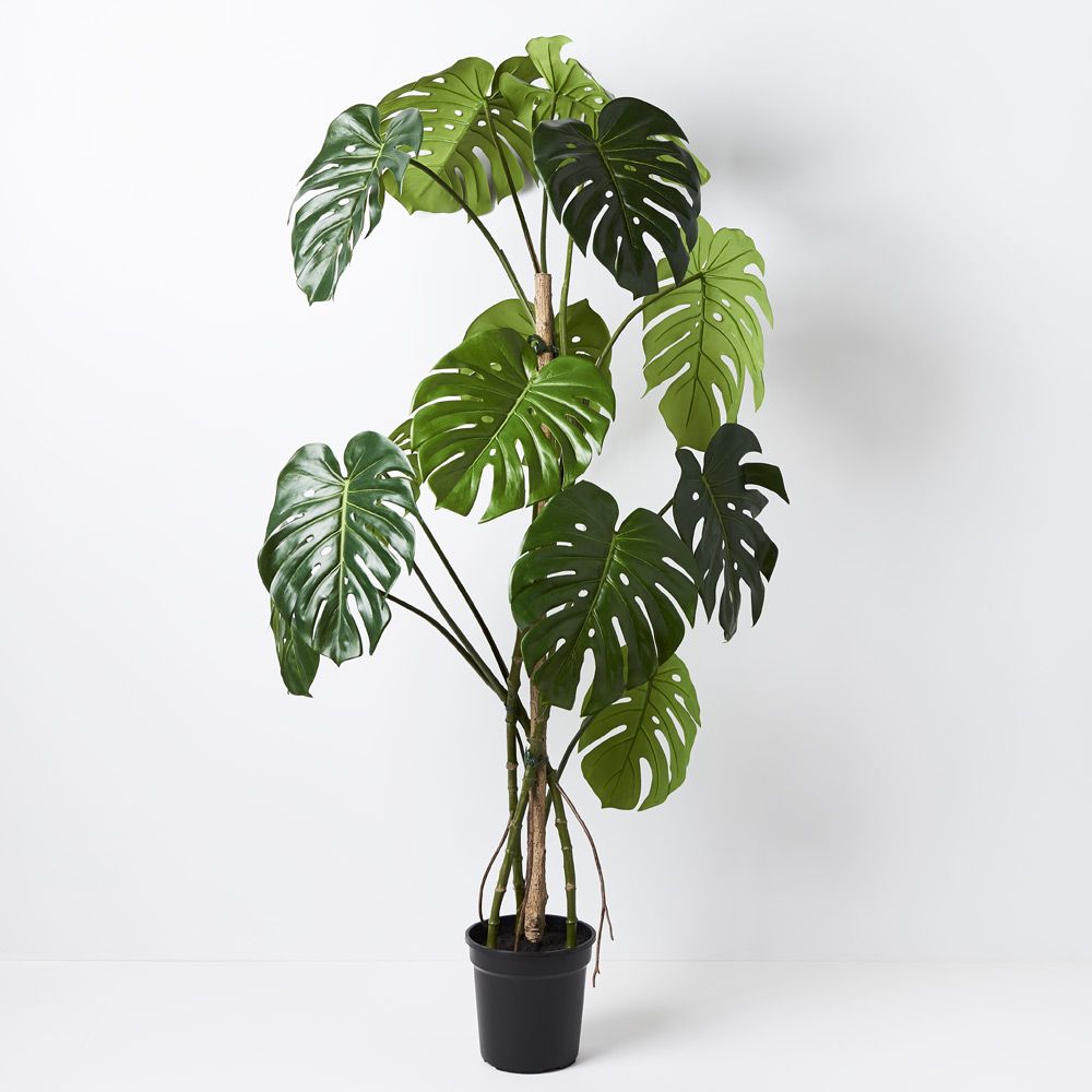 'Real Touch' Artificial Monstera Vine Plant