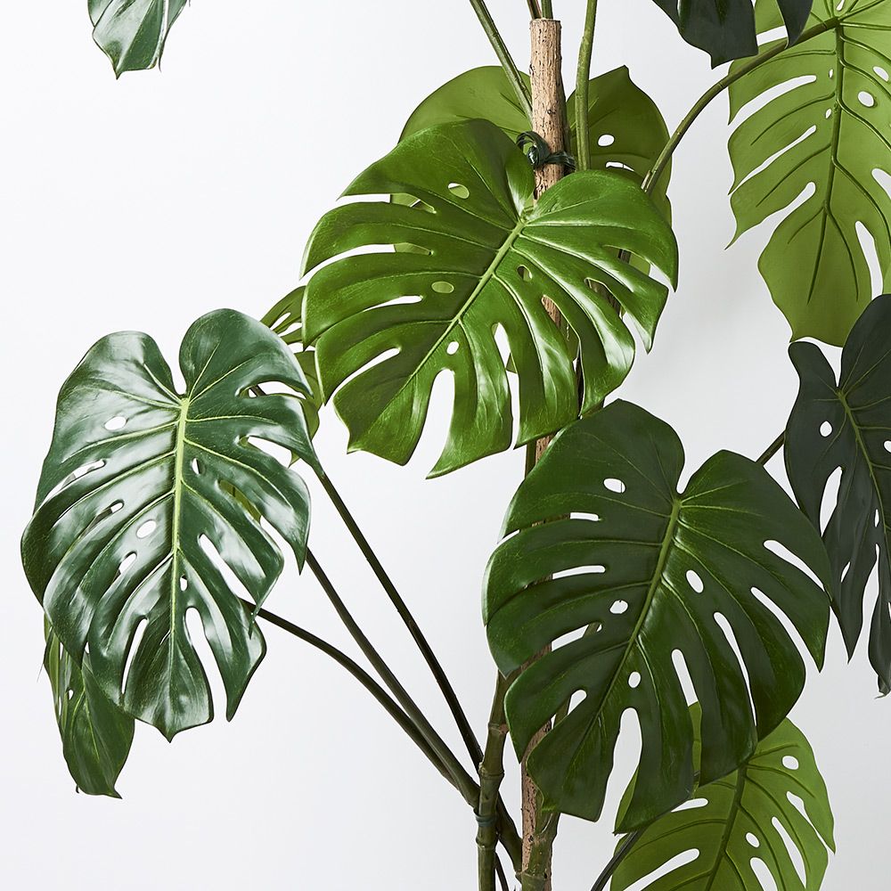 'Real Touch' Artificial Monstera Vine Plant
