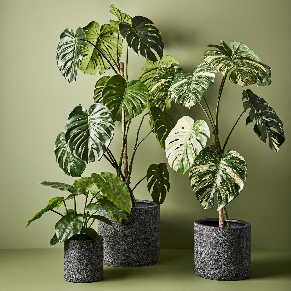 'Real Touch' Artificial Monstera Vine Plant