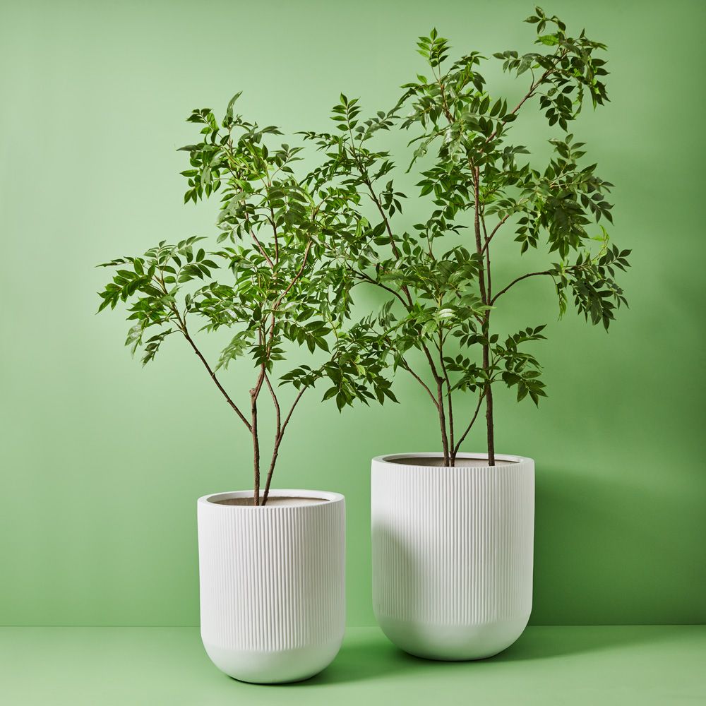 Linear Pot Extra Large - Set of 2