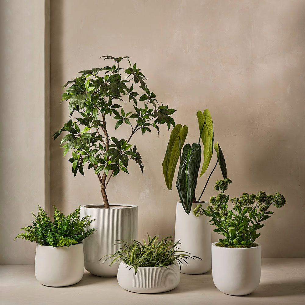 Linear Pot Extra Large - Set of 2