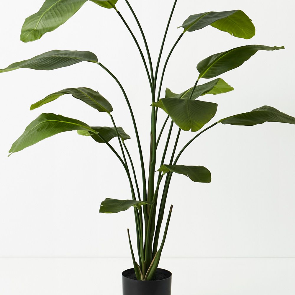 'Real Touch' Artificial Bird of Paradise Plant