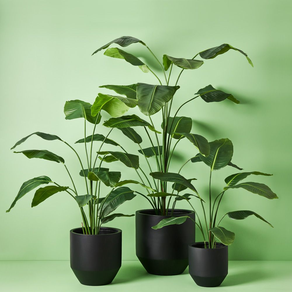 'Real Touch' Artificial Bird of Paradise Plant