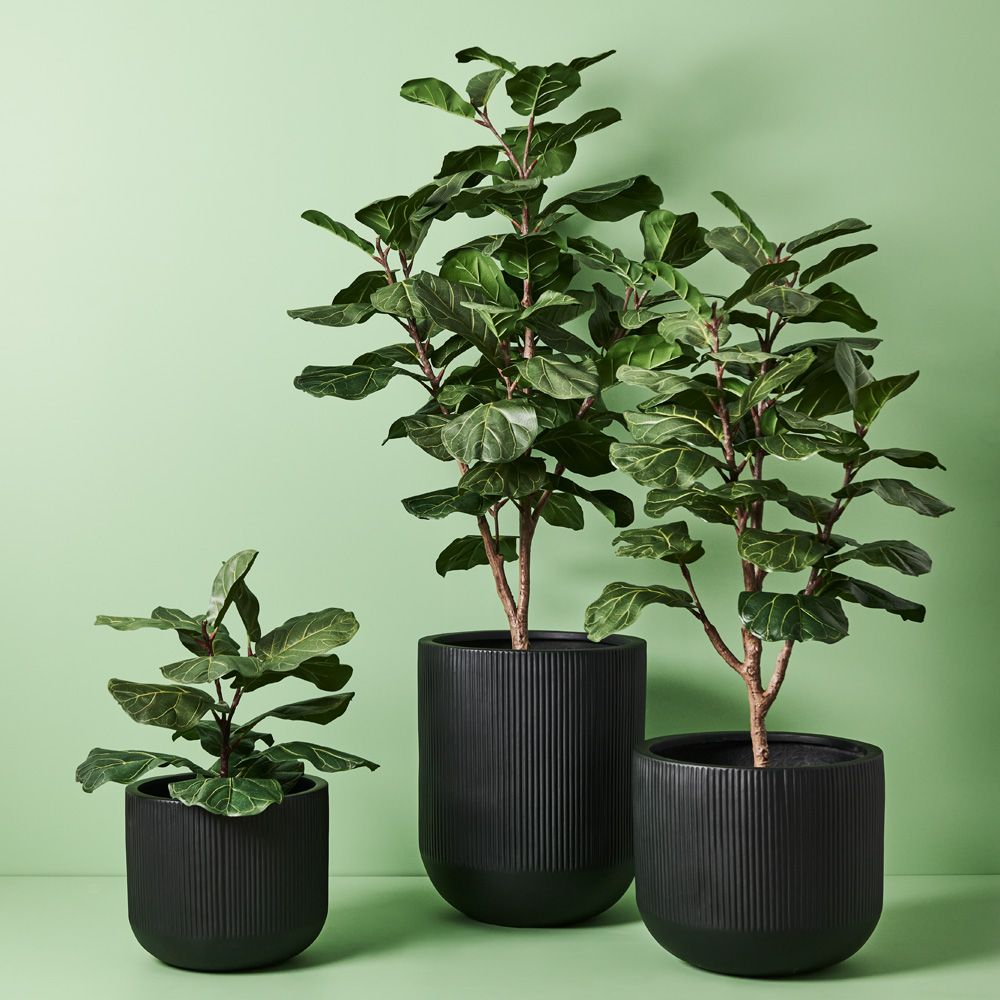 'Real Touch' Artificial Fiddle Leaf Fig Tree