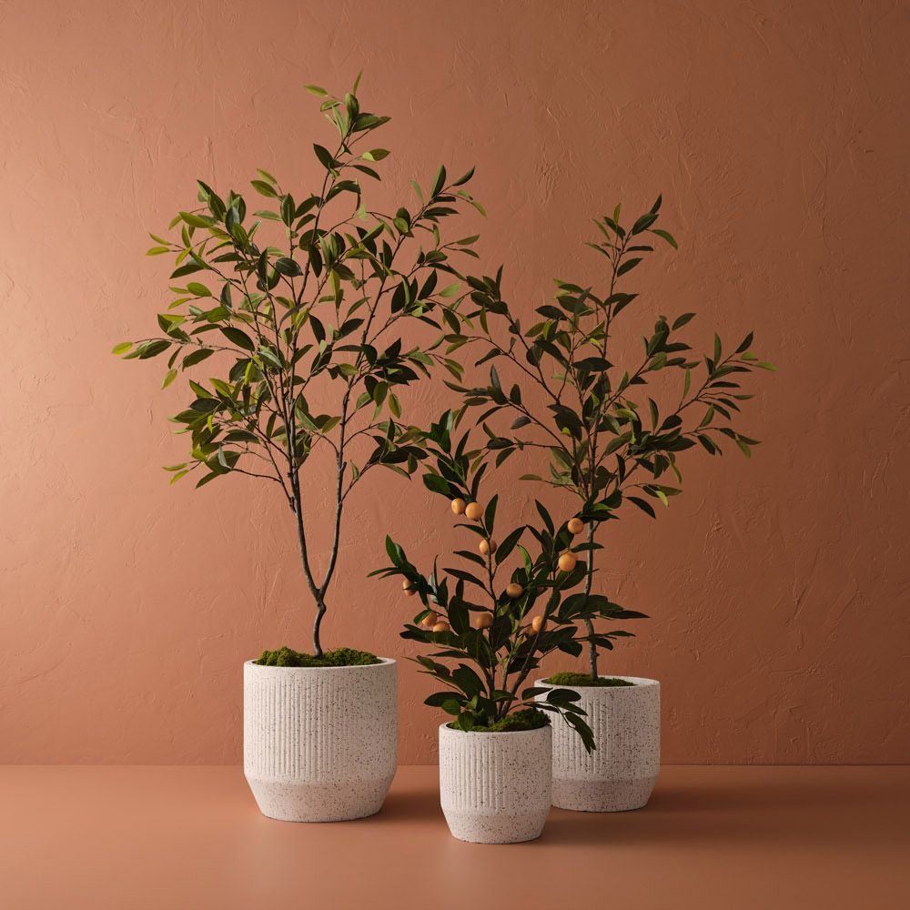 Orsola Pot