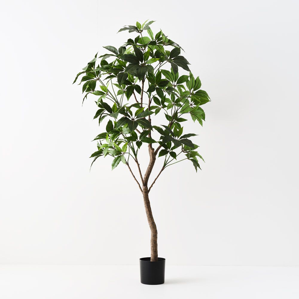 Artificial Pachira Aquatica 'Money Tree'