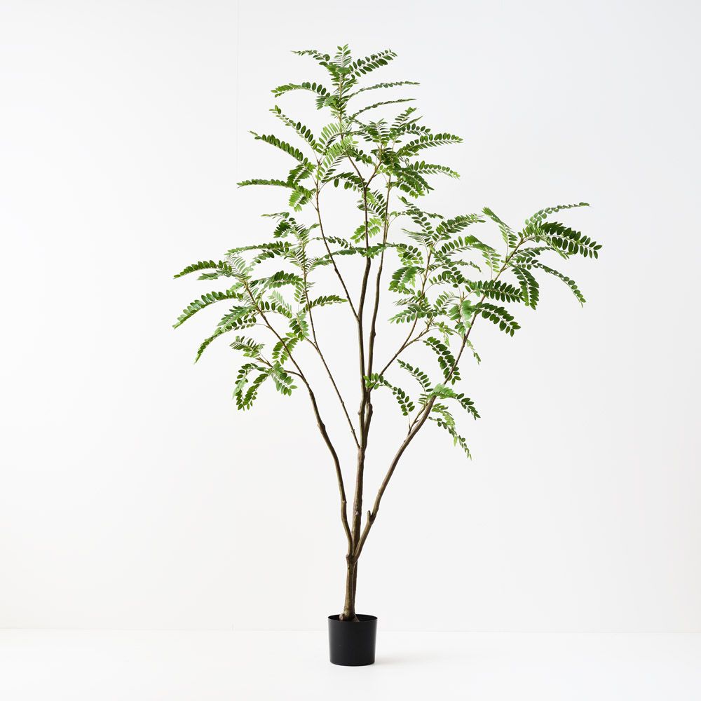 Artificial Cassia Tree