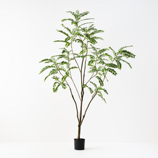 Artificial Cassia Tree