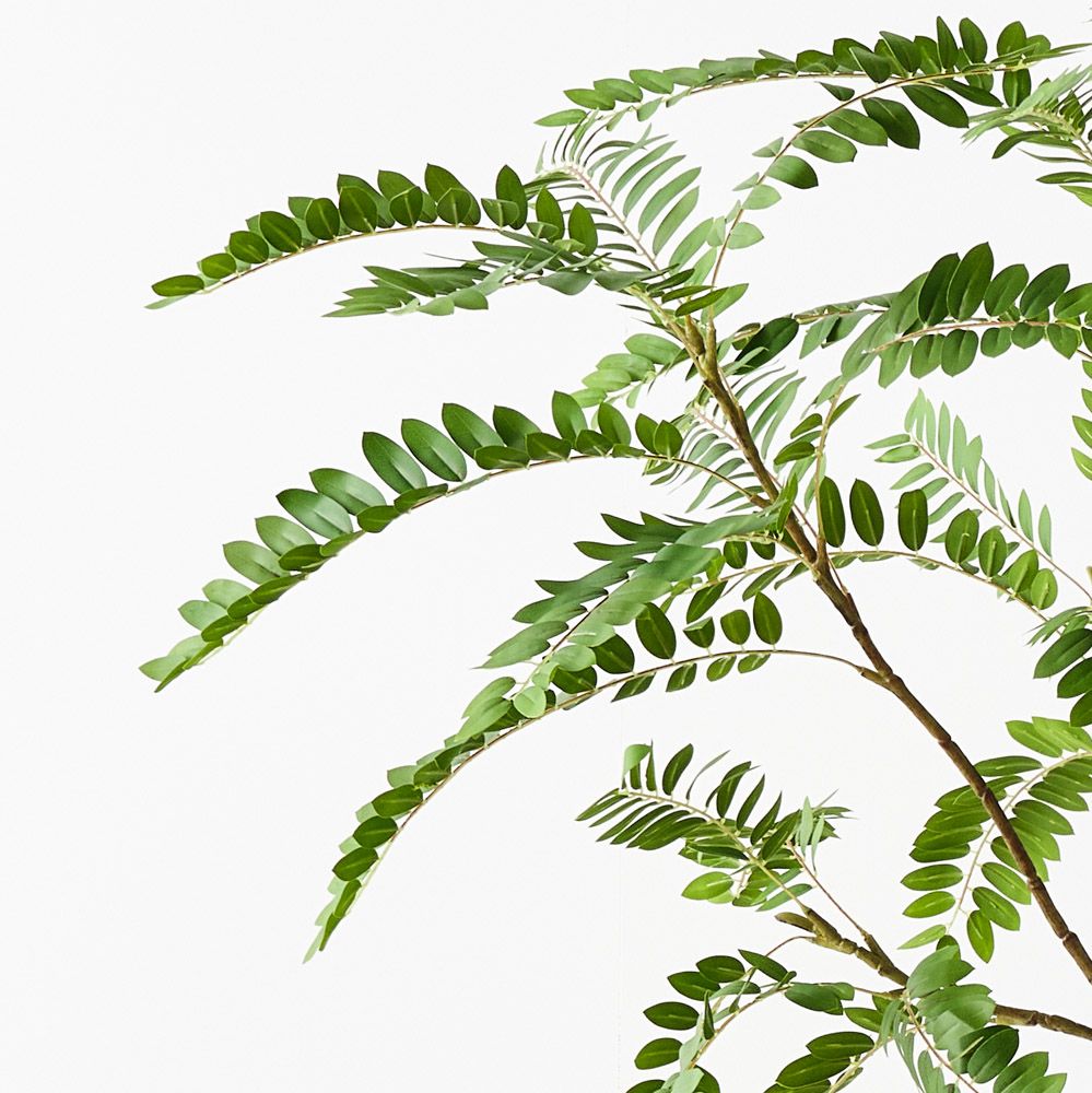 Artificial Cassia Tree
