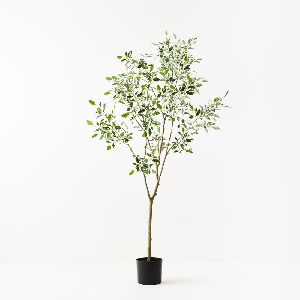 'Real Touch' Artificial Variegated Ficus 'Weeping Fig' Tree