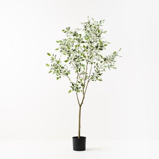 'Real Touch' Artificial Variegated Ficus 'Weeping Fig' Tree