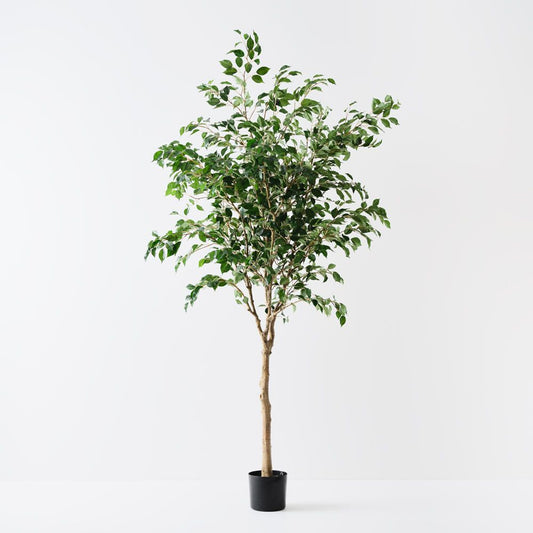 Large Artificial Ficus 'Weeping Fig' Tree