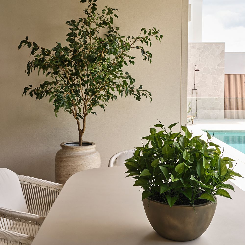 Large Artificial Ficus 'Weeping Fig' Tree