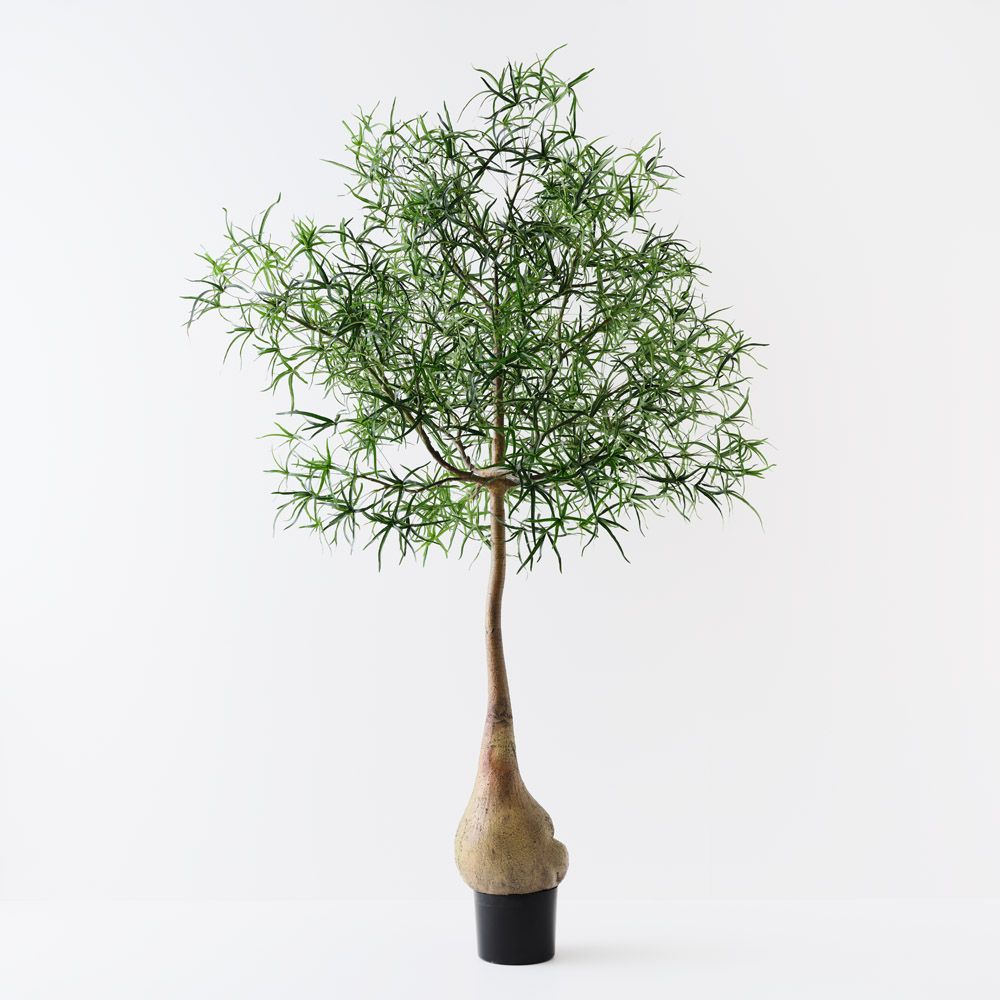 Artificial Bottle Tree