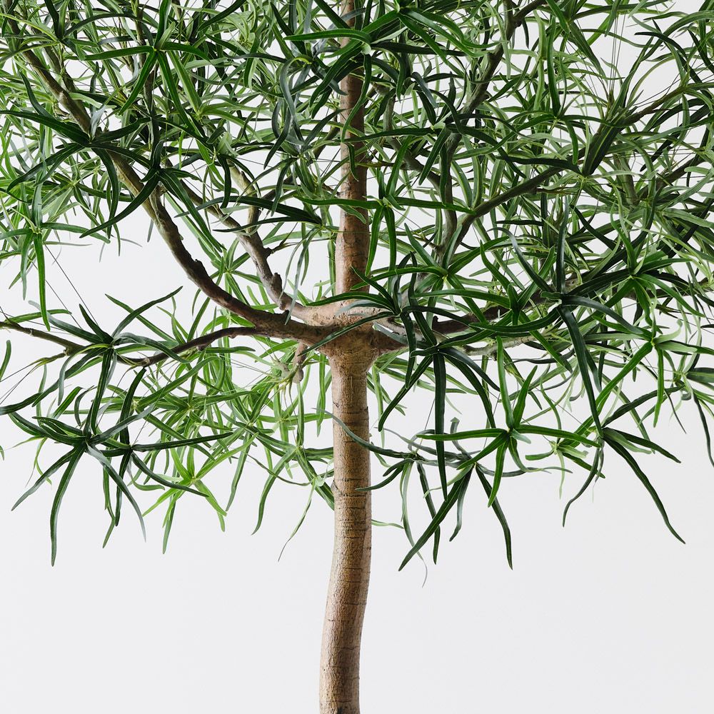 Artificial Bottle Tree
