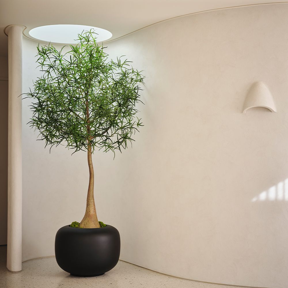 Artificial Bottle Tree