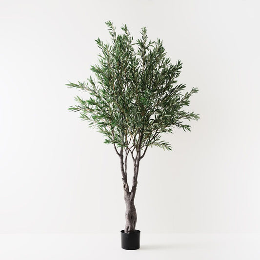 Extra Large Artificial Olive Tree