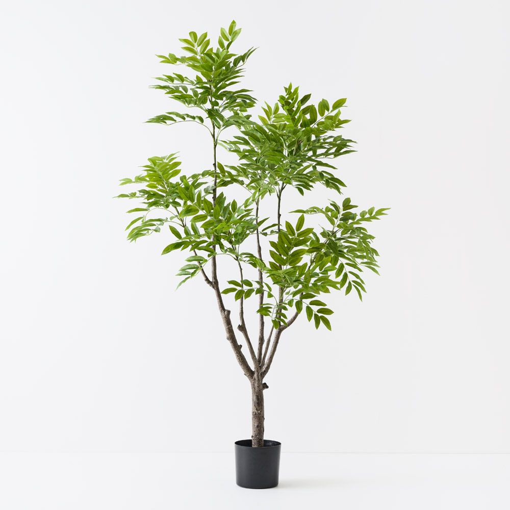 'Real Touch' Artificial Lacquer Tree