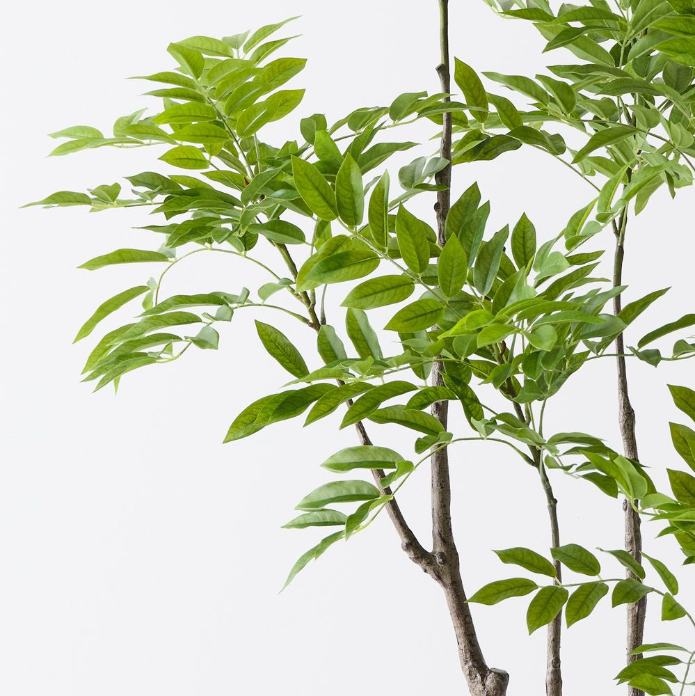 'Real Touch' Artificial Lacquer Tree