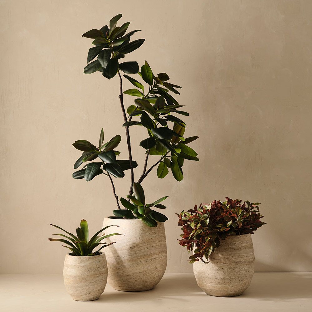 Artificial Rubber Tree