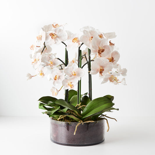 Faux Artificial Orchid Phalaenopsis