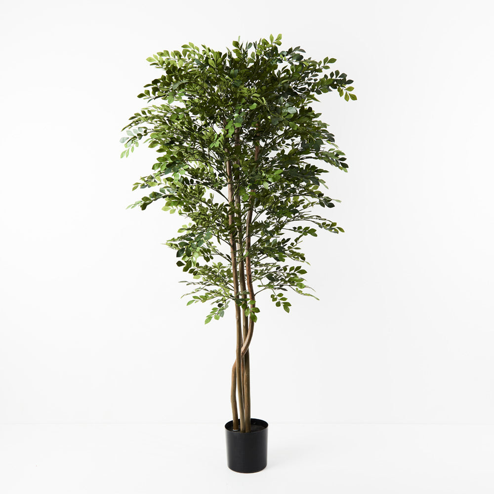 Artificial Faux Acacia Tree