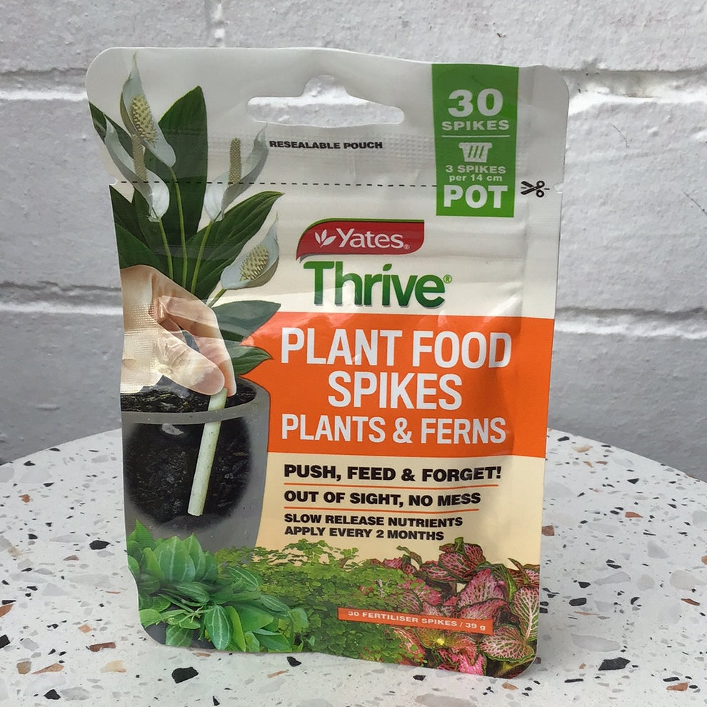 Plant food spikes Botanicah Southside’s Biggest Plant Warehouse